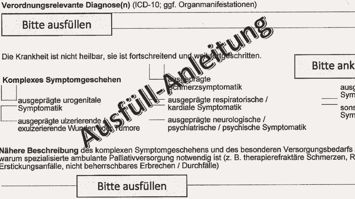 Was ist sapv spezialisierte ambulante palliativ pflege f r schwerkranke